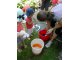 dscn6245