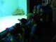 dscn2014