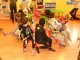dscn3137