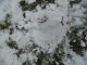 dscn3967