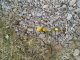 2015-03-05-11-04-06