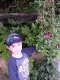 20150514_185412