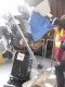 dscn0135