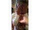 wp_20170912_15_36_33_pro