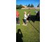 wp_20170914_10_41_05_pro