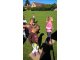 wp_20170914_10_41_16_pro
