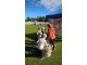 wp_20170914_10_42_46_pro