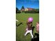 wp_20170914_10_47_49_pro
