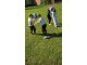 wp_20170914_10_50_36_pro