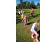 wp_20170914_11_11_31_pro