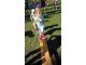 wp_20170914_11_12_19_pro