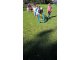 wp_20170914_11_13_18_pro
