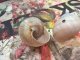 wp_20170919_15_54_22_pro