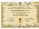 certifikat_adopce_ketupa_malajska