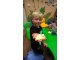 wp_20171003_15_30_15_pro