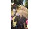 wp_20171026_10_33_23_pro