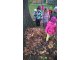 wp_20171026_11_02_19_pro