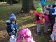wp_20171026_11_04_25_pro