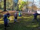 wp_20171019_11_19_25_pro