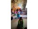 wp_20171031_10_11_23_pro