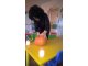 wp_20171031_10_17_51_pro