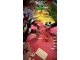 wp_20171114_15_20_37_pro