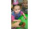 wp_20171108_09_52_49_pro-1