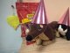 wp_20171108_10_01_37_pro