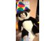 wp_20171108_10_01_50_pro