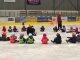 wp_20180110_10_28_10_pro