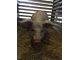 img-20180202-wa0086