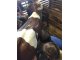 img-20180202-wa0087