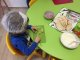 img-20180202-wa0017
