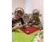img-20180202-wa0092