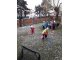 20180208_094240