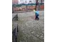 20180208_094258