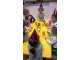 wp_20180202_09_53_36_pro