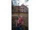 wp_20180215_10_55_49_pro