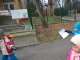 wp_20180215_11_13_09_pro