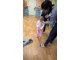 wp_20180215_11_34_03_pro