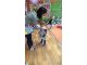 wp_20180215_11_35_07_pro
