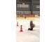 wp_20180221_10_31_17_pro_li