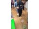 wp_20180226_10_28_49_pro_li