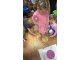 wp_20180226_10_31_38_pro_li