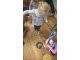 wp_20180226_10_31_44_pro_li