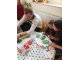 img-20180327-wa0013