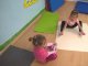 wp_20180405_10_10_05_pro_li