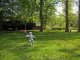 wp_20180424_11_14_52_pro_li