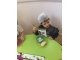 img-20180504-wa0003