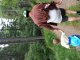 20180528_172704